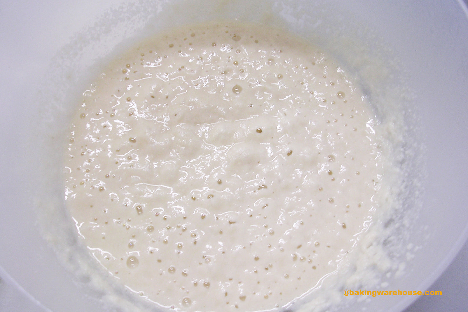 Sourdough Starter