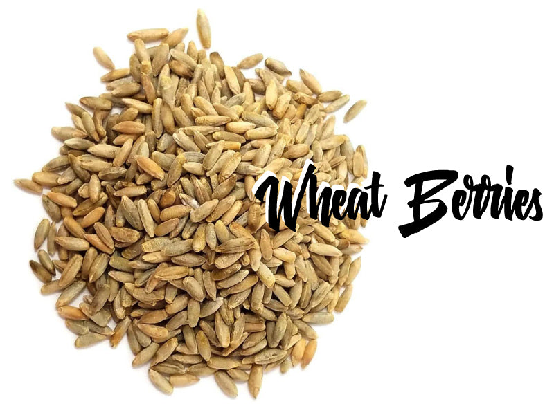 Wheat Berries(Farro) wheat grains Hong Kong 香港購買 原粒小麥粒 BakingWarehouse