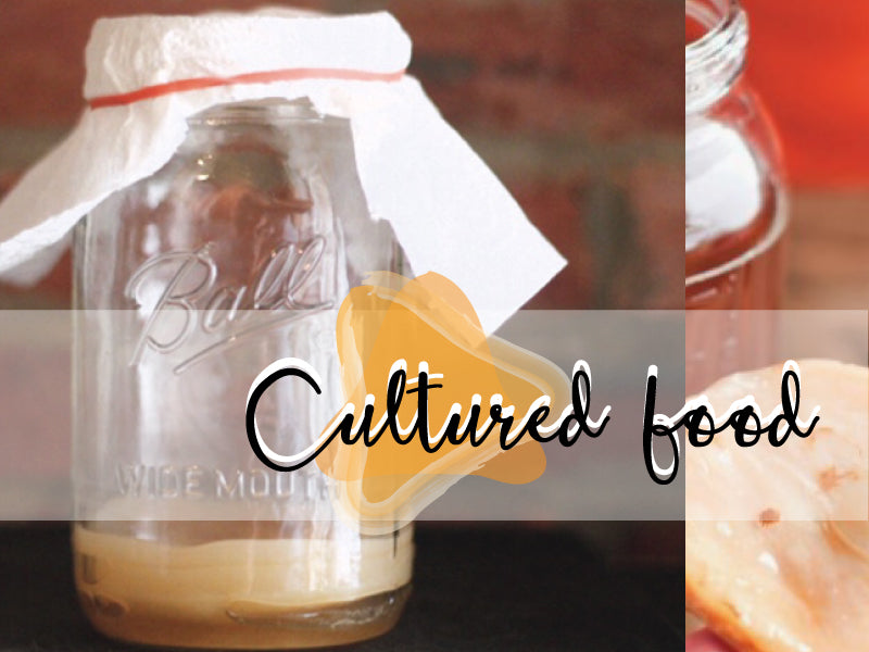 
    Cultured Food - Kefir | Cheese | Yogurt | Kombucha
  