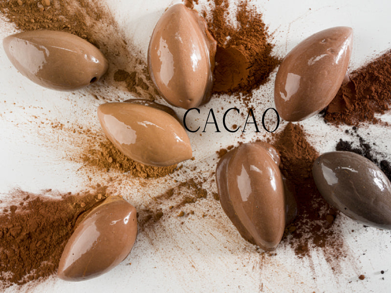 Cocoa Powder