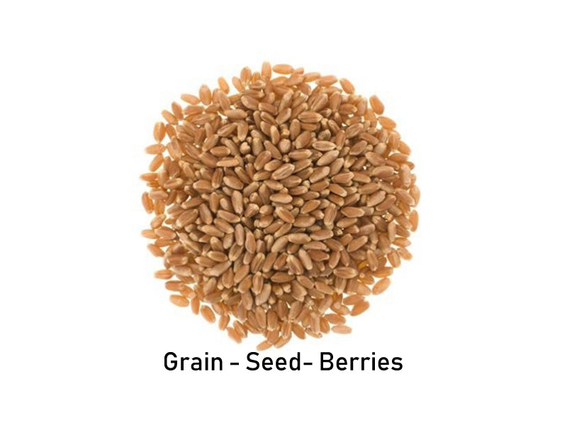 穀類 | 小麥| 磨機