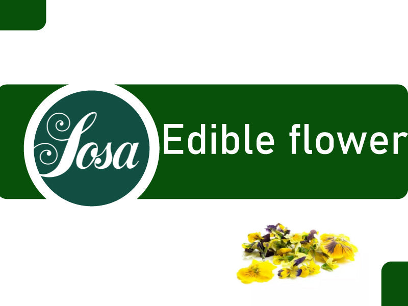 
    Sosa edible flower
  