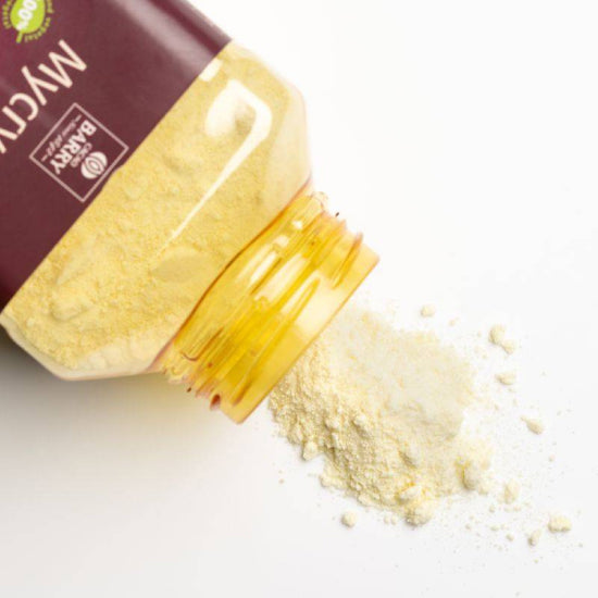 cacao powder Mycryo | cacao barry