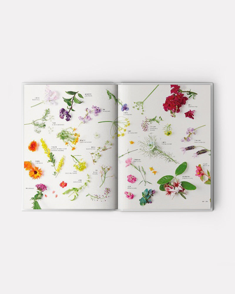 Decoration by Garuharu