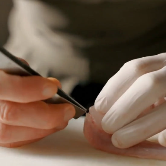 Fish CLAMP | THORNS CLIPS |