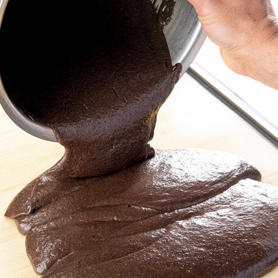 Cacao Barry - Noir Intense 可可粉（鹼化）1公斤裝
