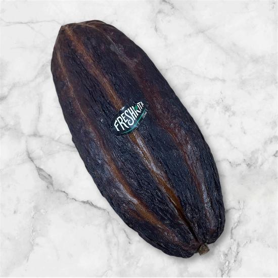 Fresh Cacao pod