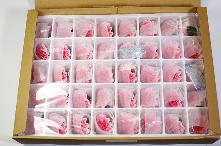 Edible carnation | sugar flower | Hong Kong | cake decorating