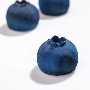Pavoni single pastry silicon mold Blueberry