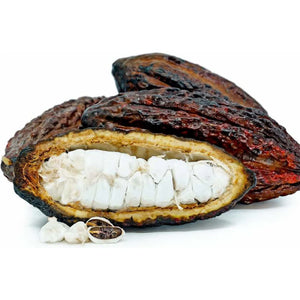 fresh cacao pod fruit | Hong kong