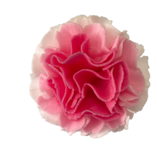 Edible carnation | sugar flower | Hong Kong | cake decorating