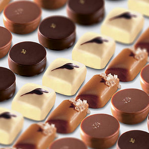 Valrhona selection Praliné Bonbons Assortment - 160 pieces