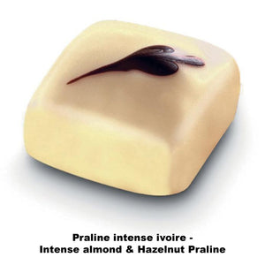 Valrhona selection Praliné Bonbons Assortment - 160 pieces