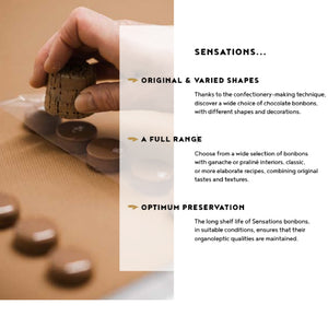 Valrhona selection Praliné Bonbons Assortment - 160 pieces