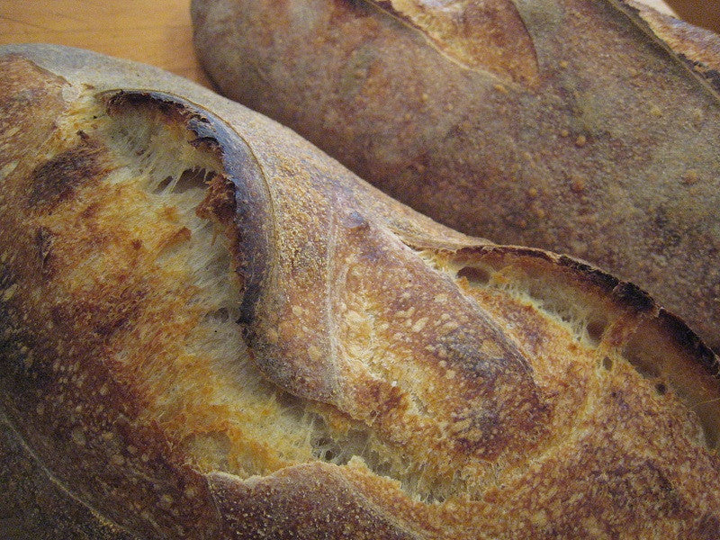 有機黑裸麥麵粉