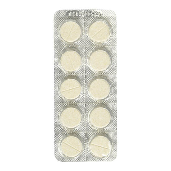 Vegetable Rennet - cheese making - homemade cheese 凝乳酵 - BakingWarehouse