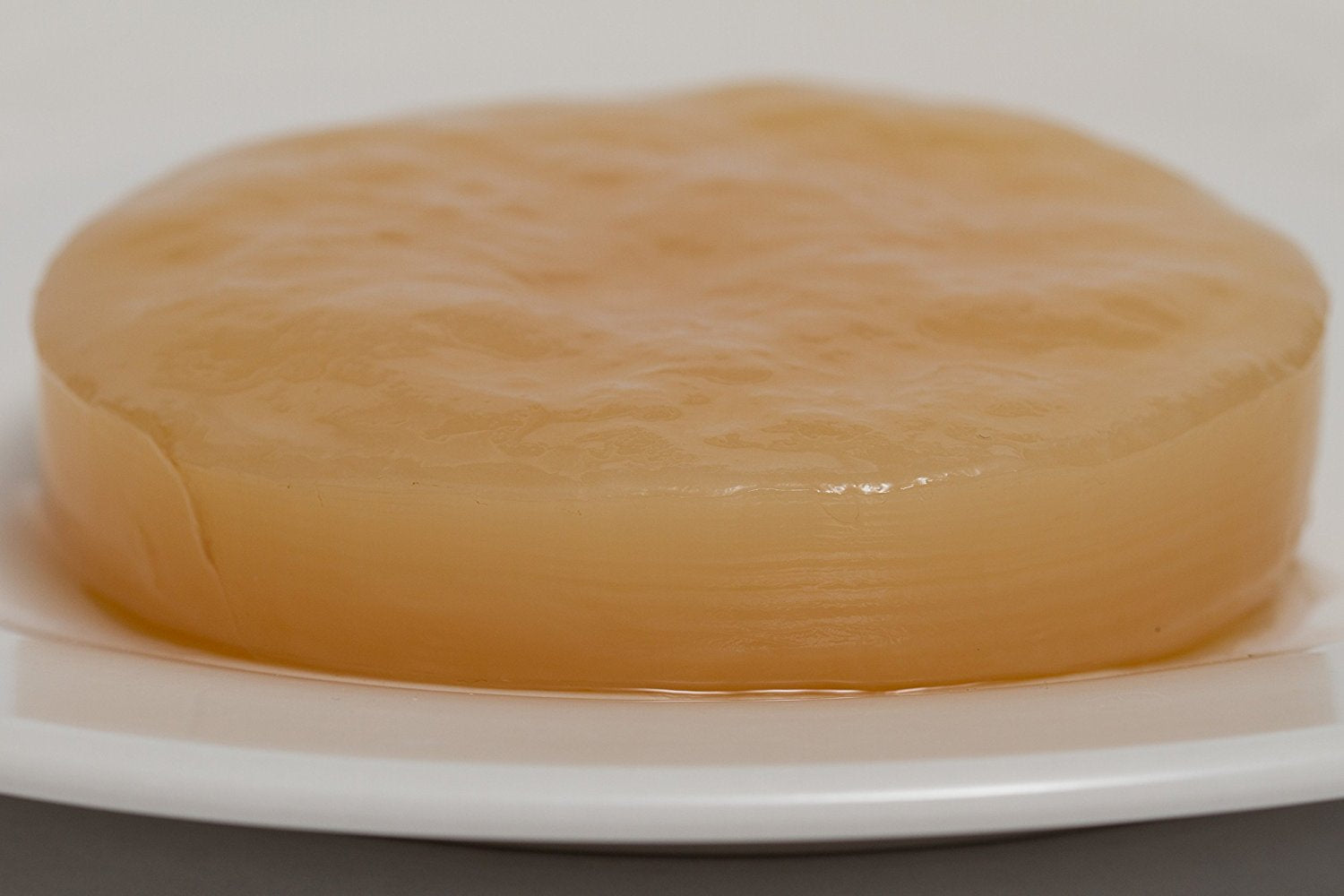 kombucha scoby hong kong