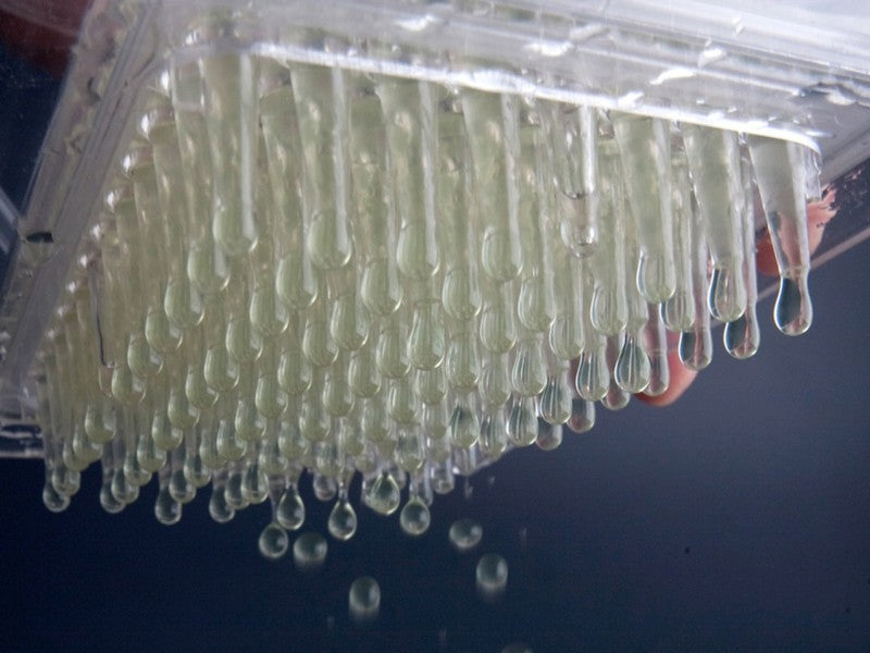 Rapid Molecular Caviar Maker  (new)