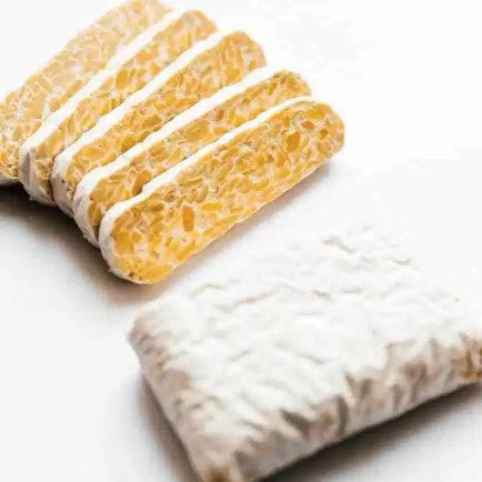 Tempeh starter culture