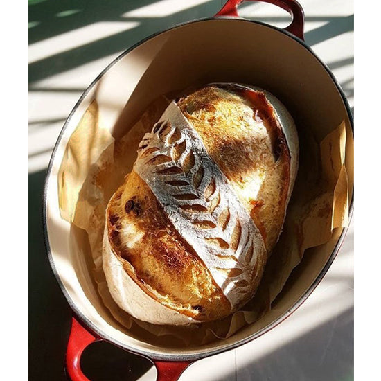 Parchment paper pre-cut round