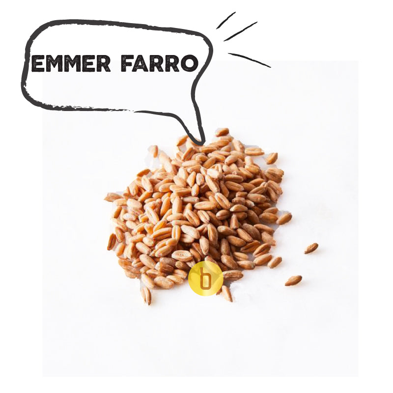 Emmer farro